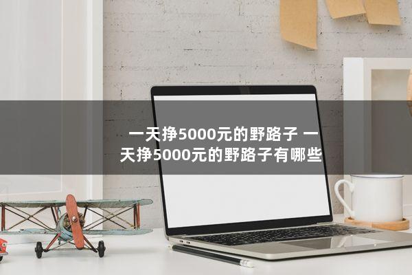 一天挣5000元的野路子(一天挣5000元的野路子有哪些)